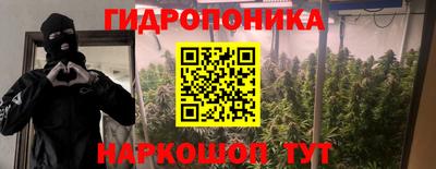хмурый Аргун