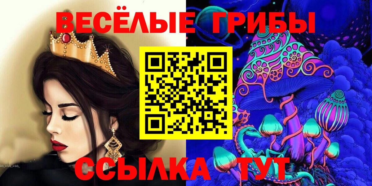 Псилоцибиновые грибы MAGIC MUSHROOMS  Вход с VPN  что такое   Асино  Галлюциногенные грибы мухоморы 